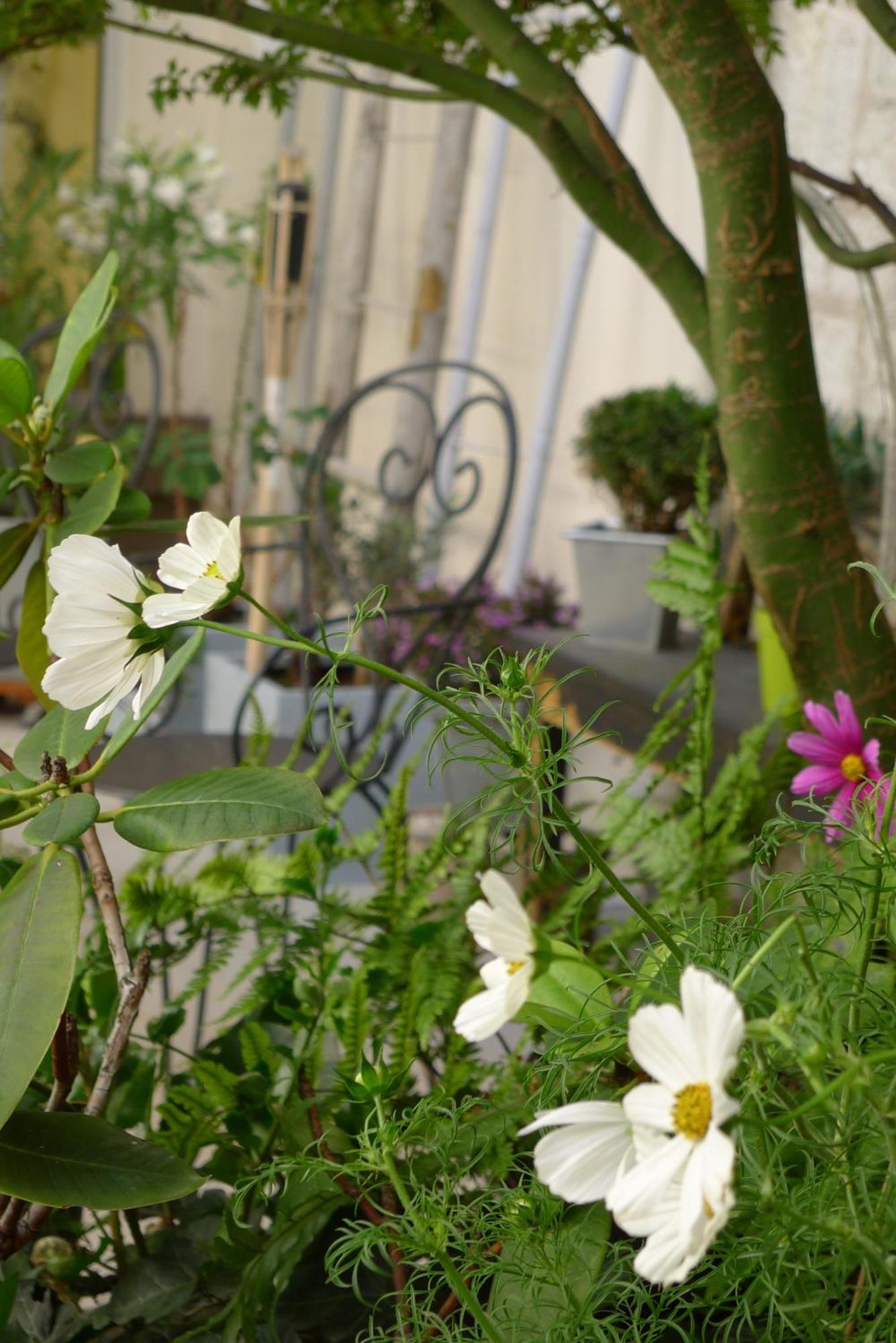 Hotel Cit'hotel Des Messageries